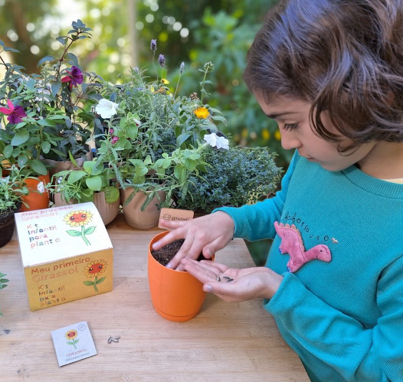 Criança plantando girassol