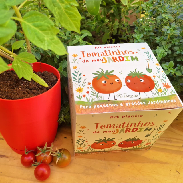 Tomatinhos crescendo no vaso sustentável