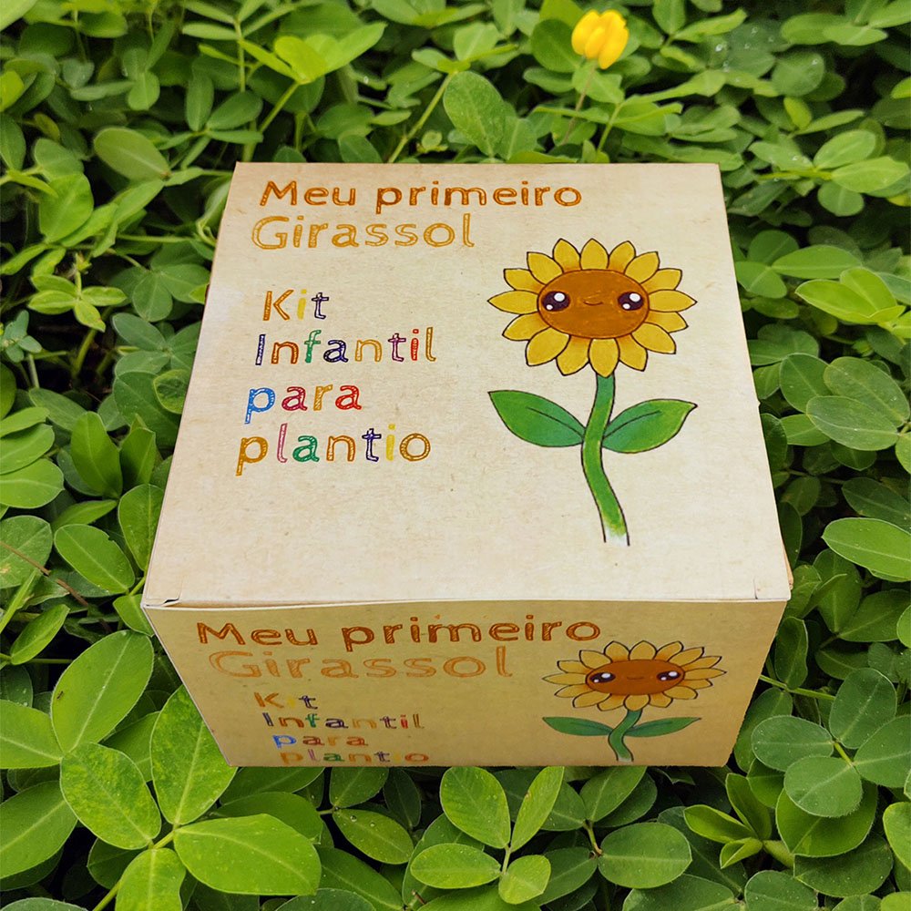 Kit Meu Primeiro Girassol